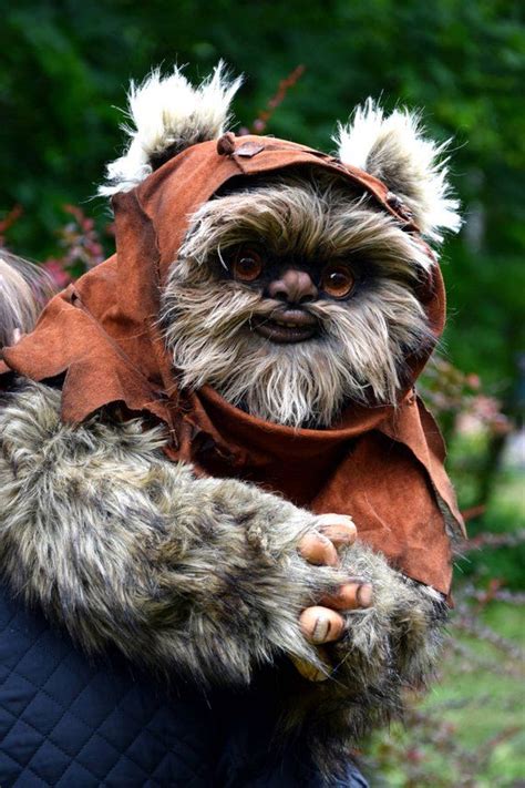 ewok photos|ewok cute.